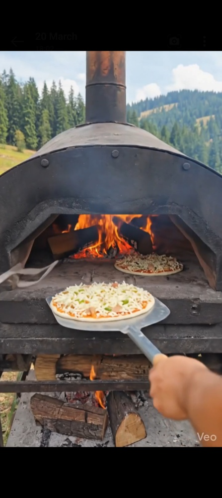 Wood-fired oven